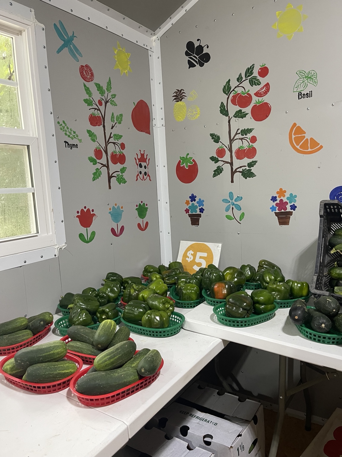 Fresh peppers and cucumbers