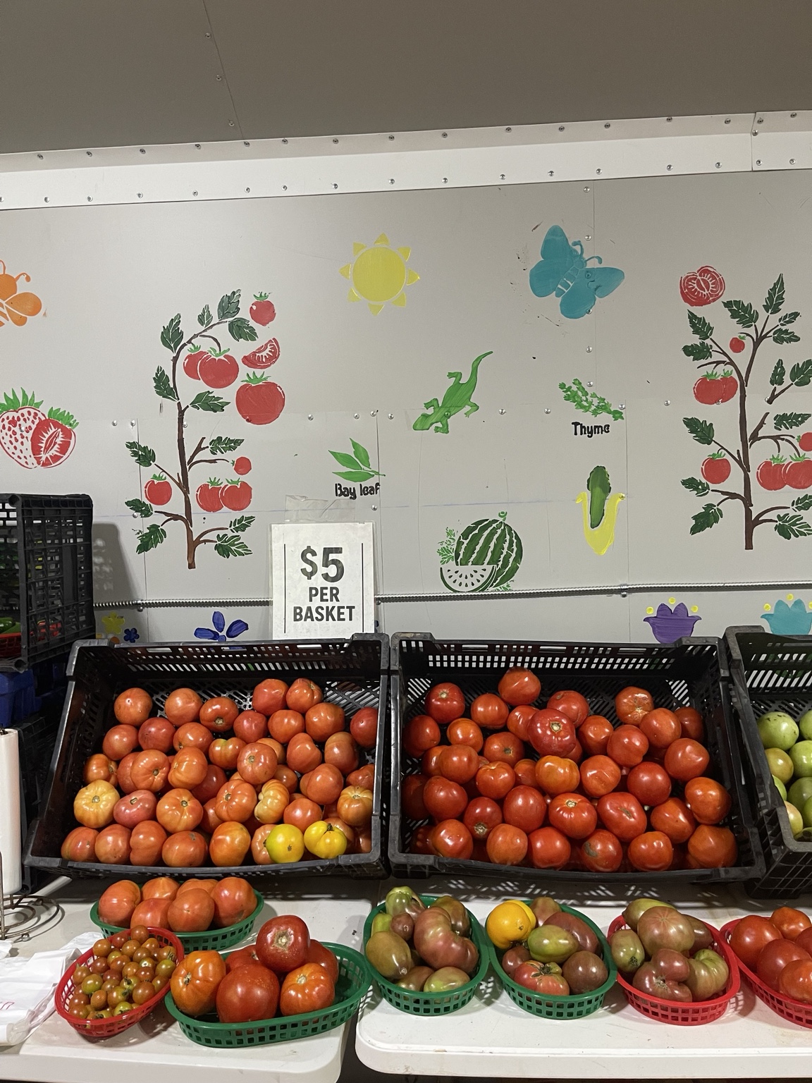 Assorted tomato varieties